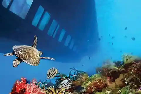 Hurghada: Glass Boat and Parasailing Trip with Snorkeling