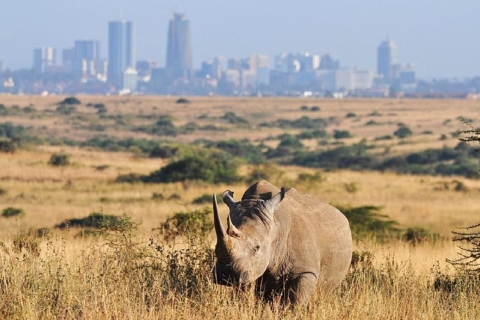Przejażdżka do parku narodowego Nairobi