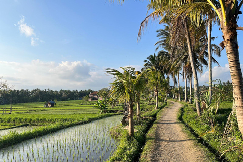 Bali: Serenity Sacred Tirta Empul, Rice Fields & Coffee
