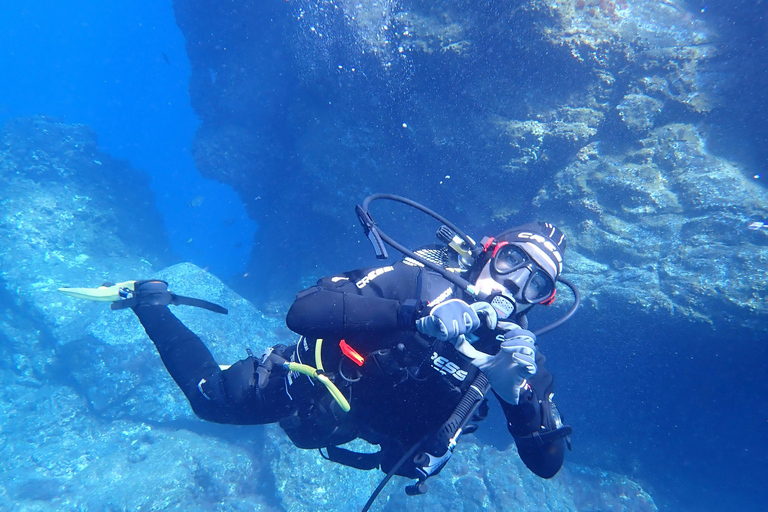 Turtle Island Double Dive with Lunch: Alanya & Side Pickup
