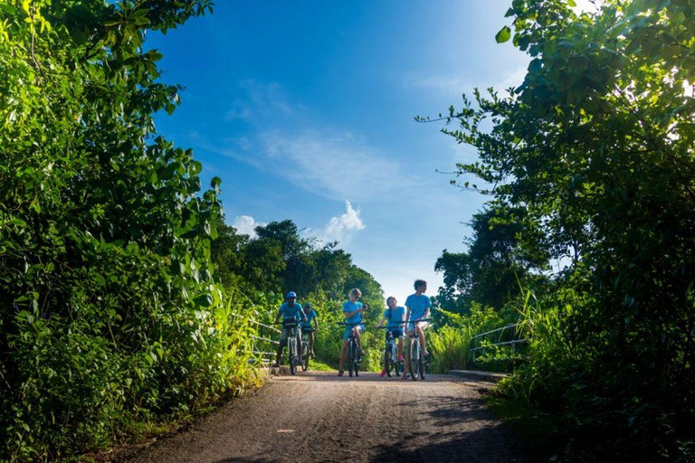 Galle: E-Bike Tour with Village Lunch and Local Guide