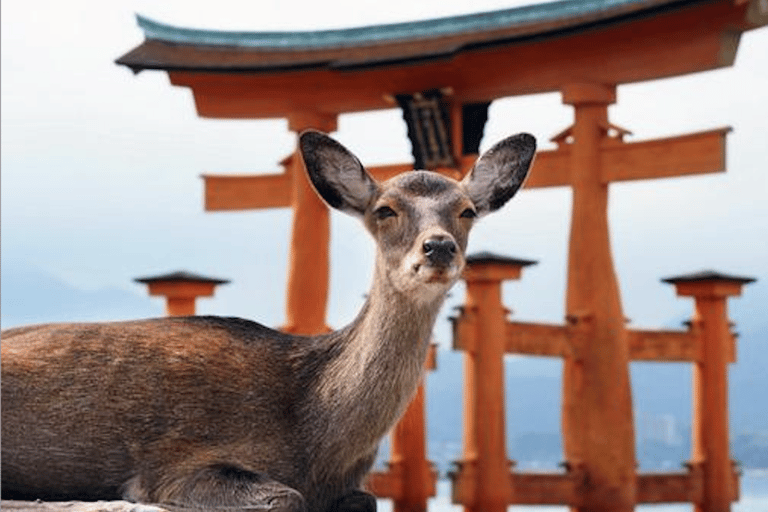 Hiroshima/Miyajima Privat anpassad tur med lokal guide