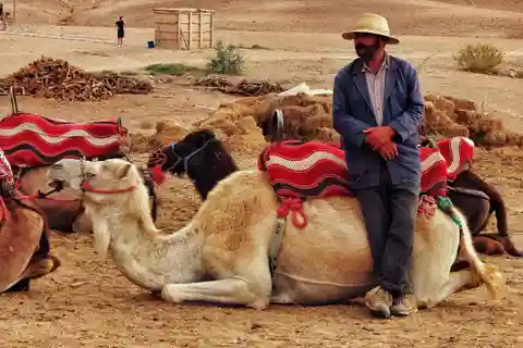 Marrakech: Kamelritt in der Wüste von Agafay mit Abendessen und Show