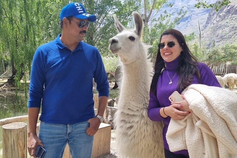 Santiago: Inca Lagoon Tour with Local Vineyard and Tasting