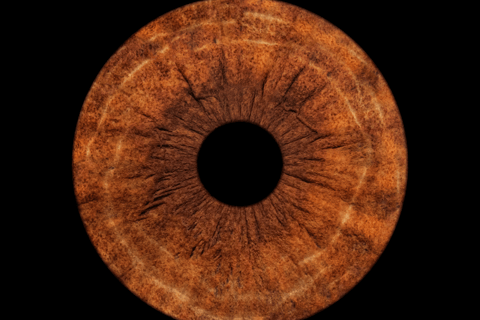 Cappadocia: Personal Eye-Iris Photography Experience