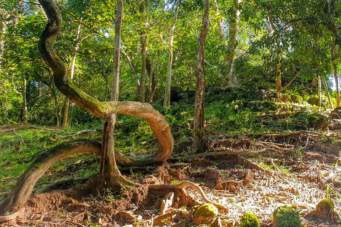 Siem Reap: Angkor Temples Off the beaten track Photo Trip