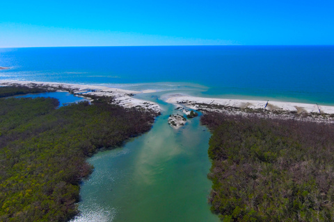 Bonita Springs Clear Kayak Tour with Dolphins & Manatees Crescent Tandem Kayak