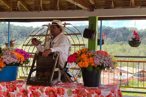 Tour dei fiori e dei silleteros di Medellin