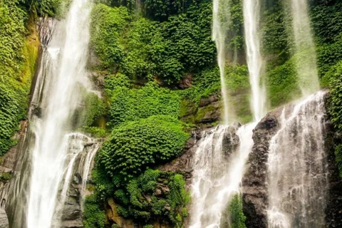Bali : Sekumpul / Chute d'eau de Banyumala et 2 arrêts de destination