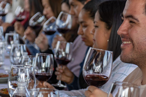 From Barcelona: Private Sitges + Tarragona + Luxury Winery
