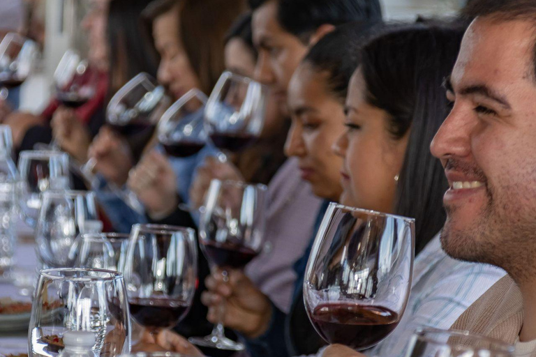 From Barcelona: Private Sitges + Tarragona + Luxury Winery