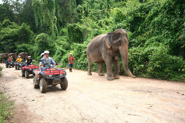 Chiang Mai : ATV Tour