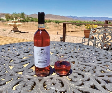 Scenic Desert Wine, Distillery Tastings/Brewery/RT66 & Lunch