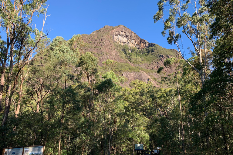 Glass House Mountains & Rainforest Day Tour from Brisbane