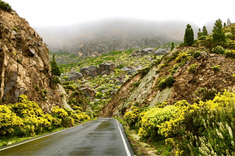 Grande Canarie : vidéo VIP PRIVÉE en drone 4K du nord de l'îleGrande Canarie : visite vidéo VIP privée en drone 4K