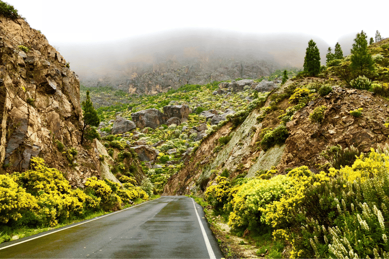Grande Canarie : vidéo VIP PRIVÉE en drone 4K du nord de l'îleGrande Canarie : visite vidéo VIP privée en drone 4K