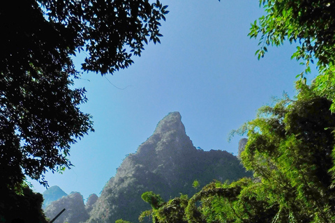 Khao Sok Jungle Day Trip - Jungle Trekking & Bamboo Rafting