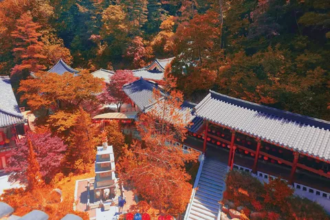 Visite de Danyang : Temple Guinsa & Bobaljae & Parc et grotte d'Ondal