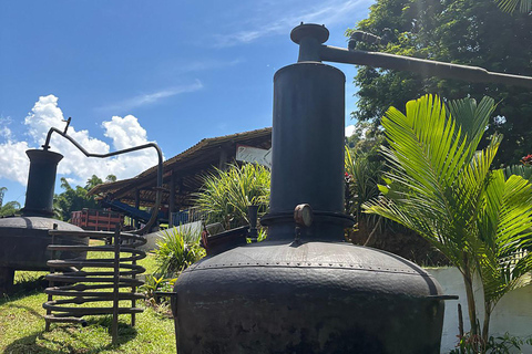 Short Jeep Tour – Pedra Branca, Tobogã & Nature