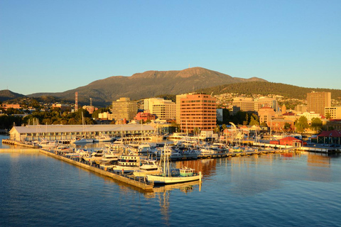 Private Tour of Tahune Airwalk & Hastings Caves from Hobart