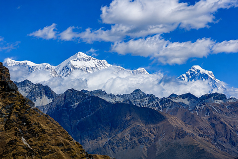 From Kathmandu: 5-Day Dhorpatan Wildlife & Nature Tour From Kathmandu: 5-Day Dhorpatan by Public Vehicle
