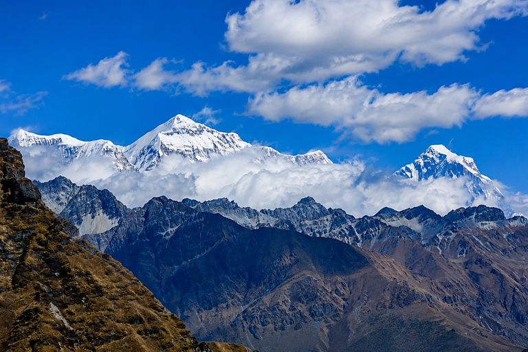 From Kathmandu: 5-Day Dhorpatan Wildlife & Nature Tour From Kathmandu: 5-Day Dhorpatan by Public Vehicle