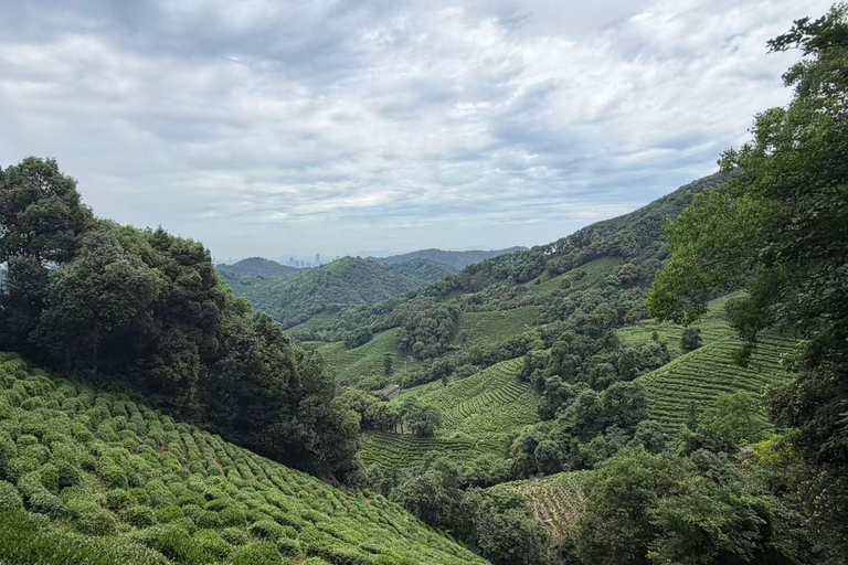 Hangzhou: Private Car Tour to Temple, Tea Village & Canal