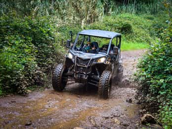 Buggy FunTrip Madeira - Adventure Off-Road Valley Tour