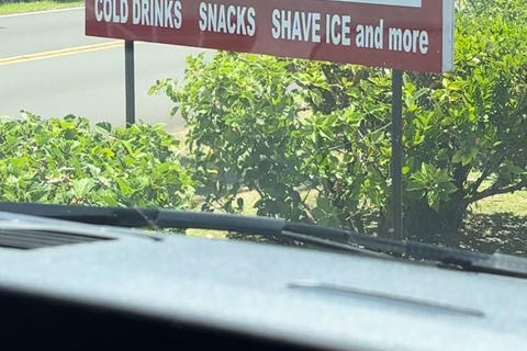 Maui's Sea Turtle & Waterfalls: Taste of Hana Guided Tour