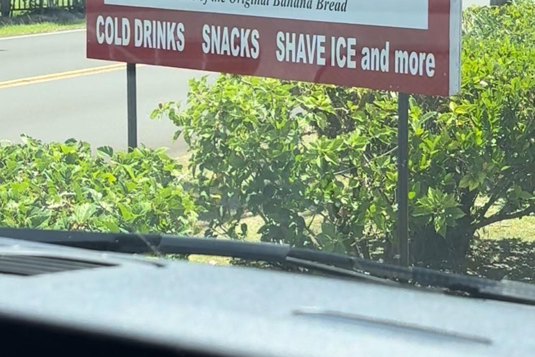 Maui's Sea Turtle & Waterfalls: Taste of Hana Guided Tour