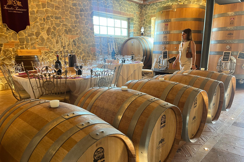 Florence: Pisa, Siena, & San Gimignano Day Trip with Lunch VIP SMALL GROUP