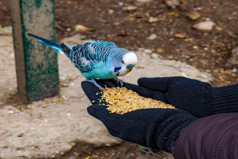 Salzburg Zoo Hellbrunn Skip-the-line Tickets & Private Car