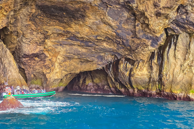 Trip to Vulcanic Corvo Island Including Island Sightseeing