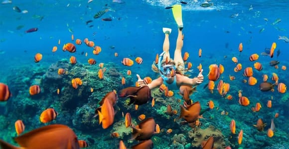 Sharm El Sheikh: Ras Mohammed Snorkeling Boat Tour