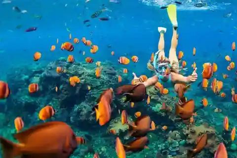 From Sharm El Sheikh: Snorkeling Tour to Ras Mohamed by Bus
