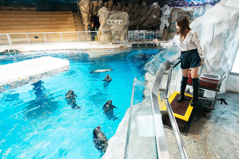 Hongkong: Ocean Park Animal Feeding &amp; Learning Experience