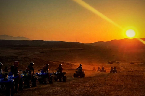 Hammamet: Camel Ride, Lunch, and Quad Biking Tour