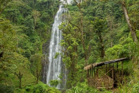 Materuni Wasserfälle & Kaffee Tour für kleine GruppeKilimanjaro Kaffeetour, Dorfspaziergang, Wasserfälle & warmes Mittagessen