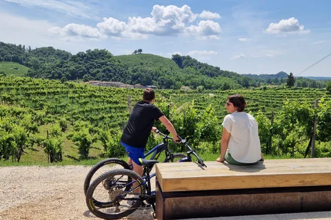 Valdobbiadene: Guided E-Bike Tour in Prosecco Hills