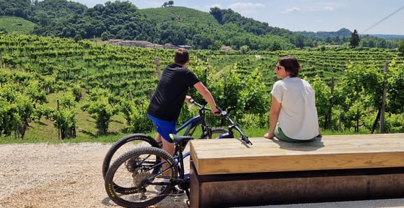 Valdobbiadene: Geführte E-Bike-Tour in den Prosecco-Hügeln