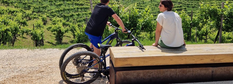 Valdobbiadene : visite guidée en vélo électrique dans les collines du Prosecco