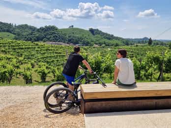 Valdobbiadene: tour guidato in e-bike tra le colline del Prosecco