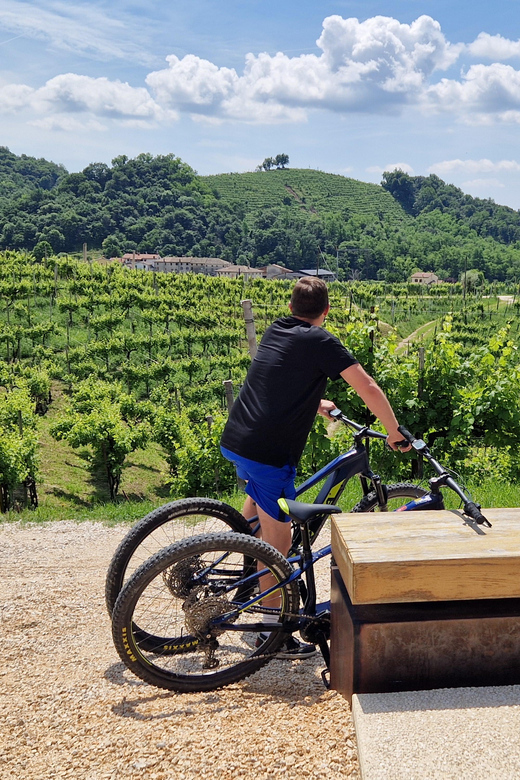 Valdobbiadene: Guided E-Bike Tour in Prosecco Hills | GetYourGuide