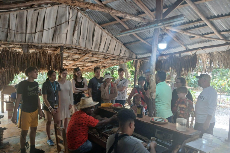 Puerto Plata: Countryside tour with Monkey Home, butterflies, and coffee