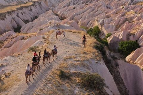 Cappadocia: Camel Ride with Hotel Pickup and Drop-Off Daytime Camel Ride with Hotel Pickup