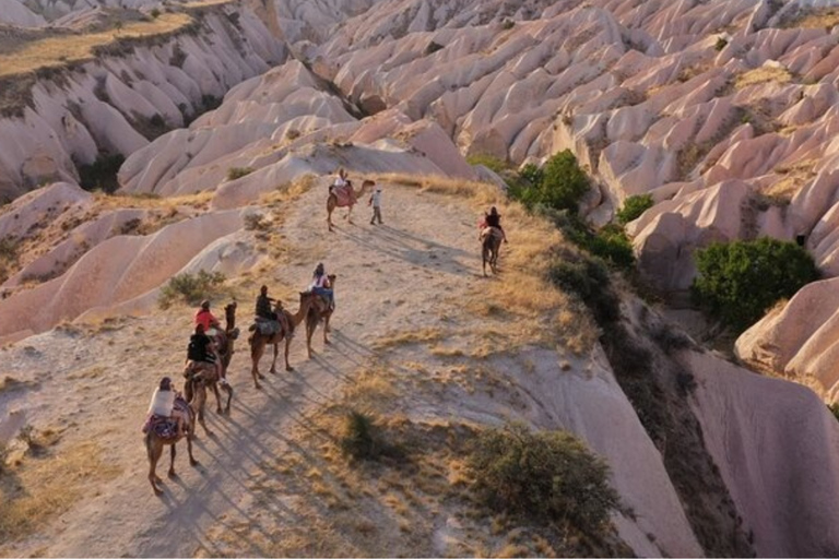 Cappadocia: Camel Ride with Hotel Pickup and Drop-Off Daytime Camel Ride with Hotel Pickup