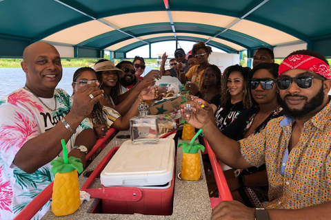 New Orleans: BYOB Tiki Boat Bayou Party und Wildlife Tour