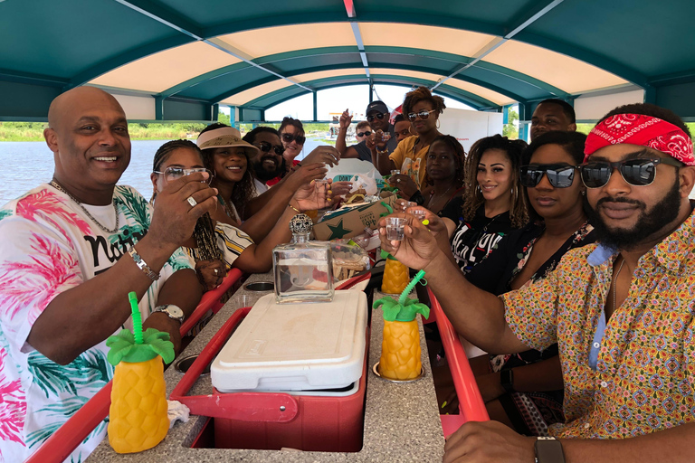 New Orleans: BYOB Tiki Boat Bayou Party und Wildlife Tour
