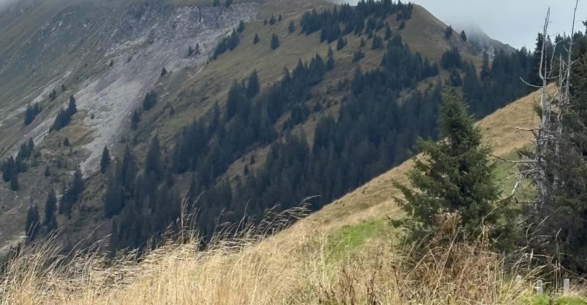 Afbeelding 13 van Interlaken: Top de Augstmatthorn met een Zwitserse triatleet