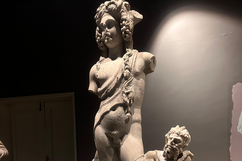 From Selçuk: 2 Day Ephesus and Pamukkale Mix Tour Private Tour Option